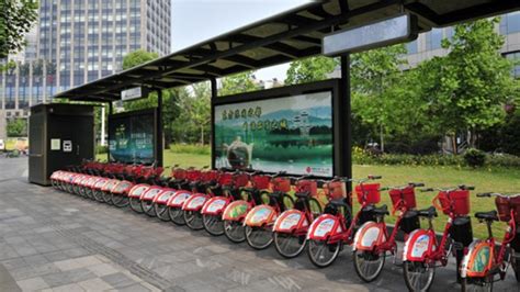 杭州有哪些單車：城市踏浪與綠色出行的多元共舞