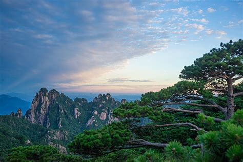 黄山奇石在哪裏？它們在雲霧縈繞中若隱若現，彷彿是自然界的藝術品。